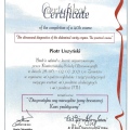 Powiększ obraz: certificate 6