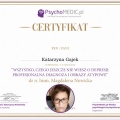 Powiększ obraz: certificate 2