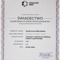 Powiększ obraz: certificate 2