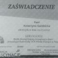 Powiększ obraz: certificate 13