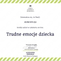 Powiększ obraz: certificate 13