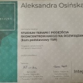Powiększ obraz: certificate 3