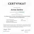 Powiększ obraz: certificate 4