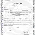 Powiększ obraz: certificate 7
