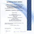 Powiększ obraz: certificate 2