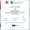 Powiększ obraz: certificate 2