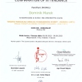 Powiększ obraz: certificate 9