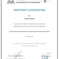 Powiększ obraz: certificate 3