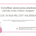 Powiększ obraz: certificate 3