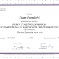 Powiększ obraz: certificate 2