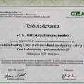 Powiększ obraz: certificate 1