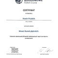 Powiększ obraz: certificate 1