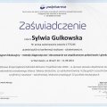 Powiększ obraz: certificate 6