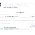 Powiększ obraz: certificate 24
