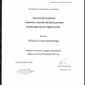 Powiększ obraz: certificate 2
