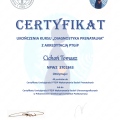 Powiększ obraz: certificate 11