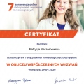 Powiększ obraz: certificate 4