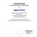 Powiększ obraz: certificate 10