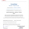 Powiększ obraz: certificate 11
