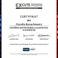 Powiększ obraz: certificate 11