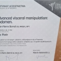 Powiększ obraz: certificate 19