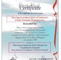 Powiększ obraz: certificate 24