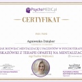 Powiększ obraz: certificate 11