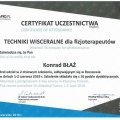 Powiększ obraz: certificate 19