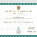 Powiększ obraz: certificate 2