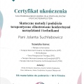 Powiększ obraz: certificate 23