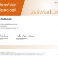 Powiększ obraz: certificate 7
