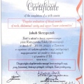 Powiększ obraz: certificate 1