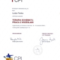 Powiększ obraz: certificate 2