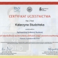 Powiększ obraz: certificate 30