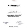 Powiększ obraz: certificate 9