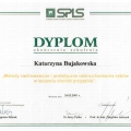 Powiększ obraz: certificate 20