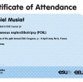 Powiększ obraz: certificate 12