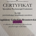 Powiększ obraz: certificate 1