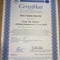 Powiększ obraz: certificate 11