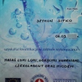 Powiększ obraz: certificate 10