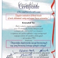 Powiększ obraz: certificate 21