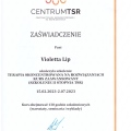 Powiększ obraz: certificate 7