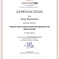 Powiększ obraz: certificate 7