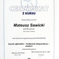 Powiększ obraz: certificate 8