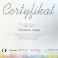 Powiększ obraz: certificate 10