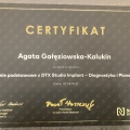 Powiększ obraz: certificate 20