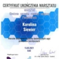 Powiększ obraz: certificate 3
