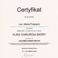 Powiększ obraz: certificate 2