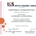 Powiększ obraz: certificate 12