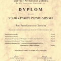 Powiększ obraz: certificate 2